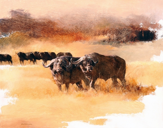 Buffalo Pair - Geoff Hunter Wildlife Art