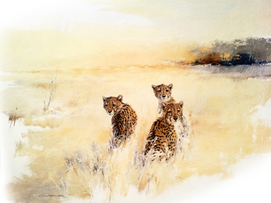 Cheetah Juveniles - Geoff Hunter Wildlife Art