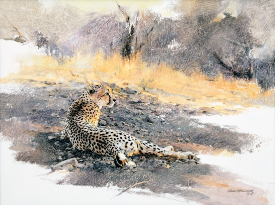 Cheetah at Dawn - Geoff Hunter Wildlife Art (Available Print)
