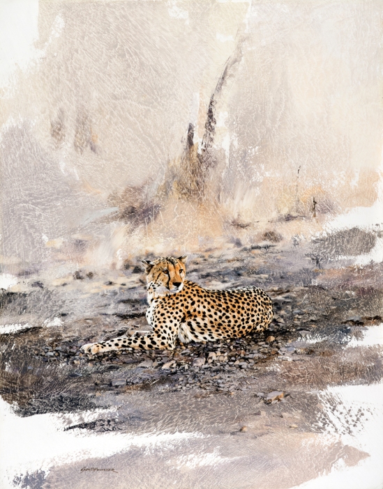 Cheetah (on stones) - Geoff Hunter Wildlife Art - Available Print