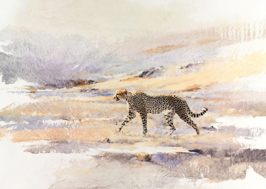 Cheetah (on the move) - Geoff Hunter Wildlife Art  (Available Print)
