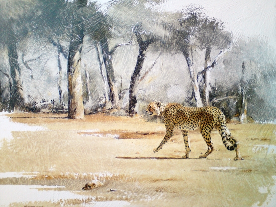 Cheetah on the move - Geoff Hunter Wildlife Art