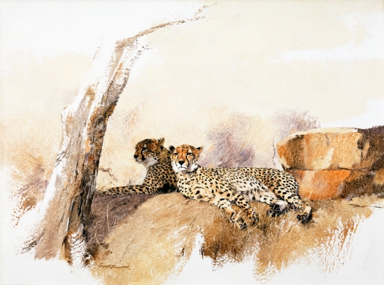 Cheetah Pair - Geoff Hunter Wildlife Art - (Available Print)