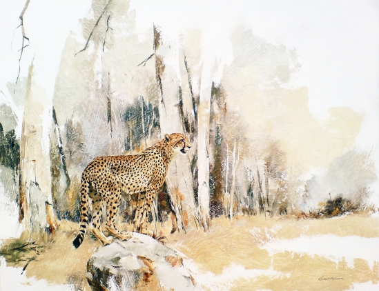 Cheetah (side profile) - Geoff Hunter Wildlife Art
