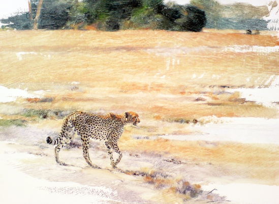 Cheetah Side Profile (on the move) Geoff Hunter Wildlife Art
