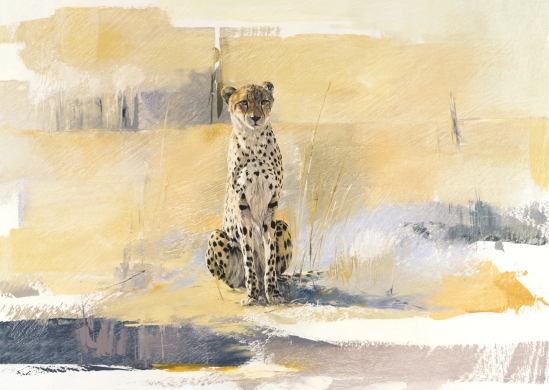 Cheetah (sitting) - Geoff Hunter Wildlife Art  (Available Print)