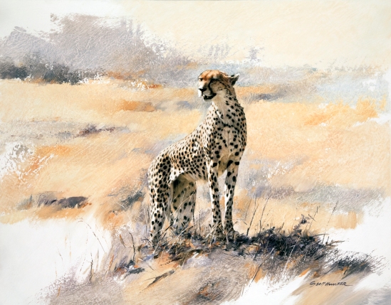 Cheetah - The Lookout - Geoff Hunter Wildlife Art (Available Print)