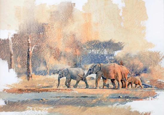 Elephant Herd - Geoff Hunter Wildlife Art (Available Print)
