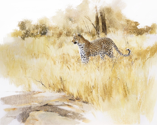 Female Leopard (side profile) Geoff Hunter Wildlife Art 2012