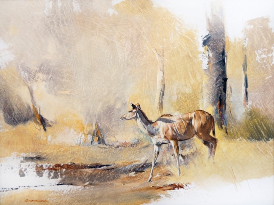 Kudu Cow - Geoff Hunter Wildlife Art (Available Print)