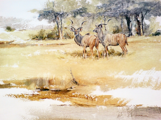 Kudu Males - Geoff Hunter Wildlife Art