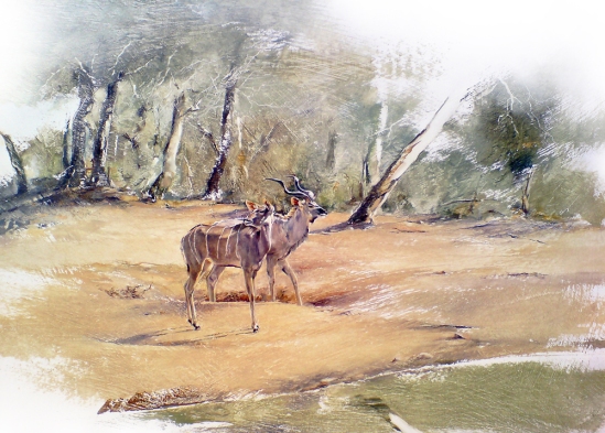 Kudu Pair - Geoff Hunter Wildlife Art