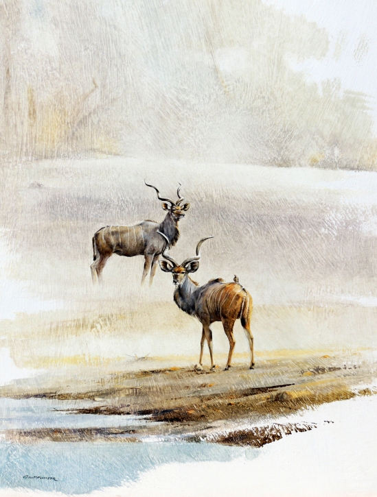Kudus (detail) Geoff Hunter Wildlife Art - Available Print