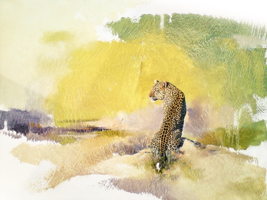 Leopard Male - Geoff Hunter Wildlife Art