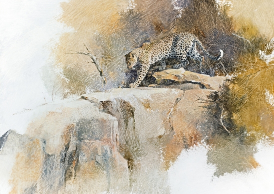 Leopard (on rocks) - Geoff Hunter Wildlife Art