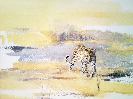 Leopard (on the move) - Geoff Hunter Wildlife Art