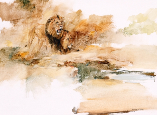 Lion Brothers - Geoff Hunter Wildlife Art