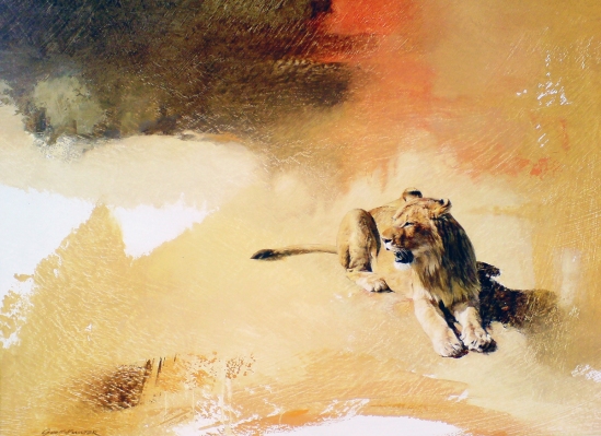 Lion (in the sun) - Geoff Hunter Wildlife Art