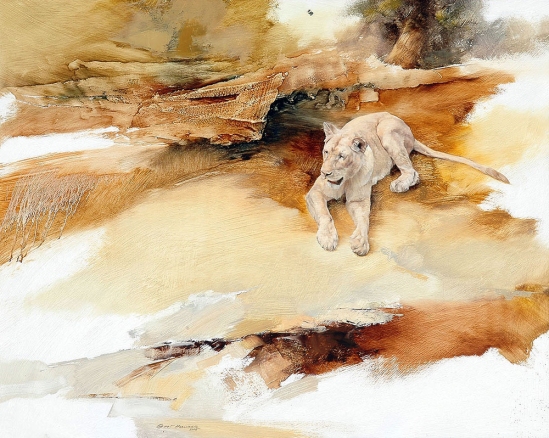 Lion Juvenile - Geoff Hunter Wildlife Art