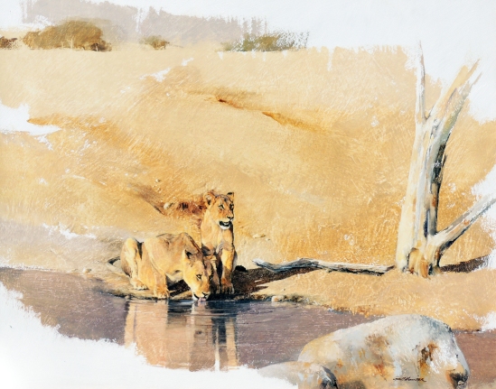 Lioness and Cub at Waterhole - Geoff Hunter Wildlife Art (Available Print)