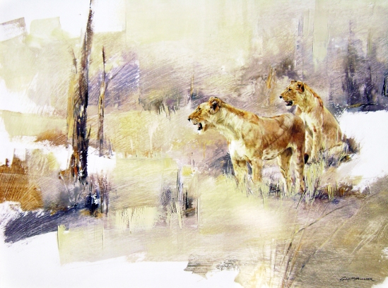 Lioness Pair - Geoff Hunter Wildlife Art