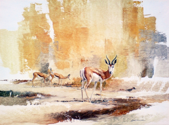Springbok Trio - Geoff Hunter Wildlife Art