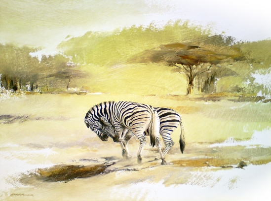 Zebras (battling) - Geoff Hunter Wildlife Art