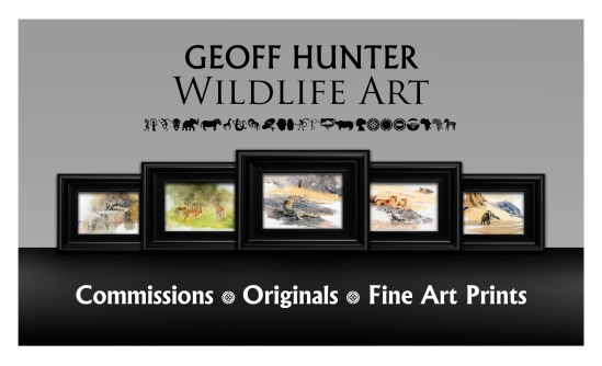 Geoff Hunter Wildlife Art header